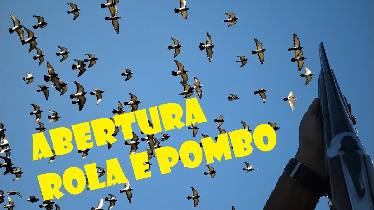 Abertura da época de caça às Rolas e Pombos 2019/20 - Corte de Bispo,  Lagos, Algarve