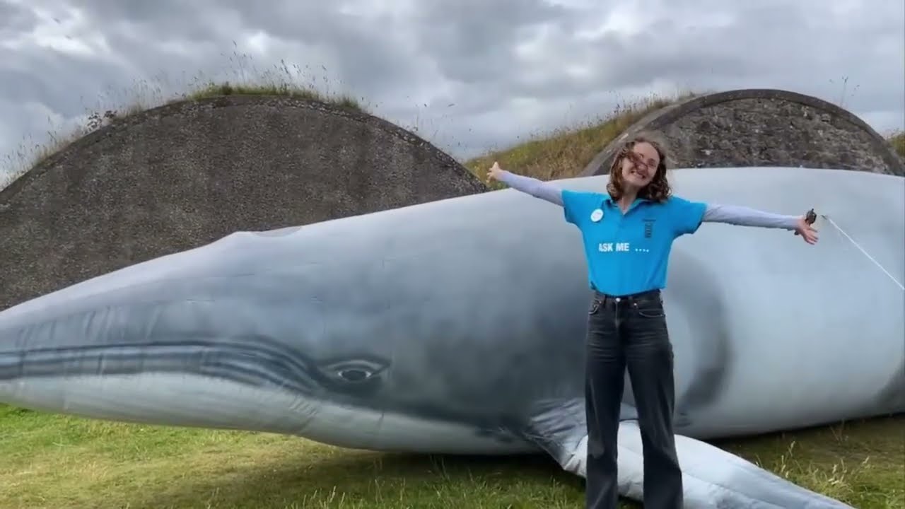 Life as residential volunteer at the Scottish Dolphin Centre | Whale and Dolphin Conservation