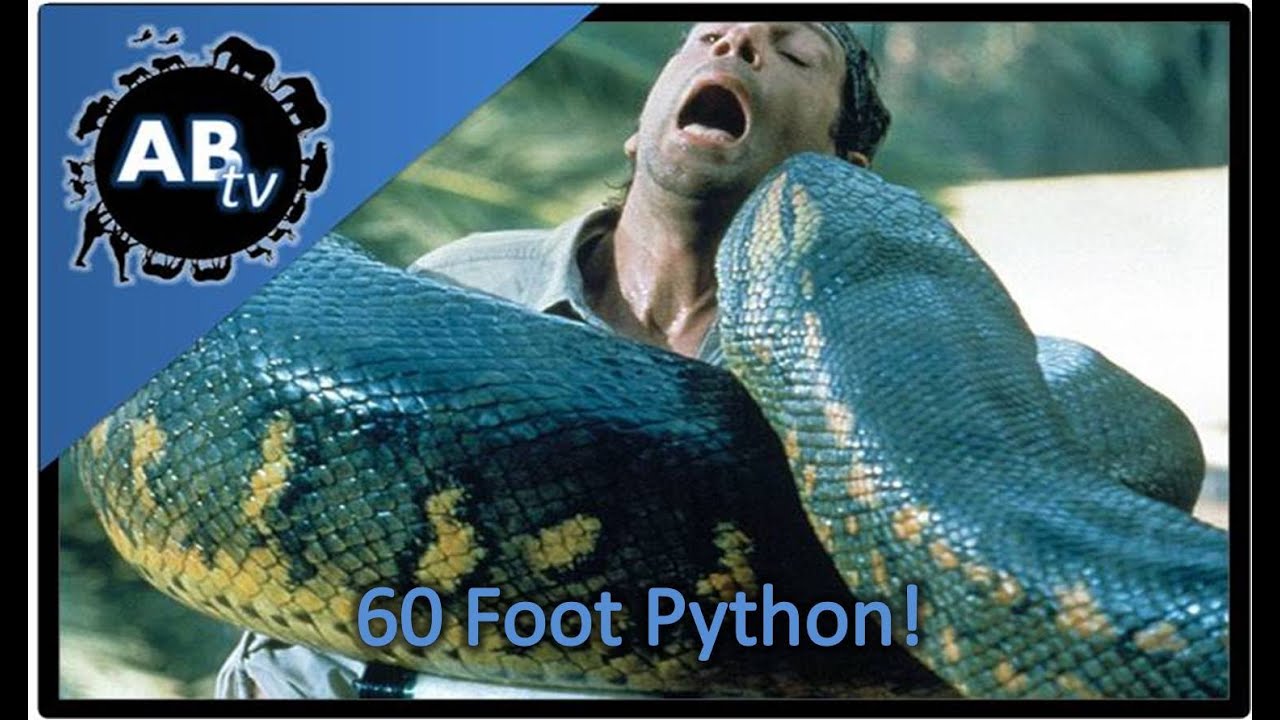 60 Foot Python!!!! SnakeBytesTV : AnimalBytesTV
