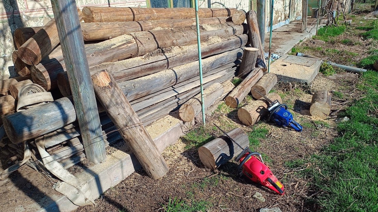 Drujba China și Holzfforma în Lemn Uscat / Chinese Chainsaw and Holzfforma in Dry Wood #drujba