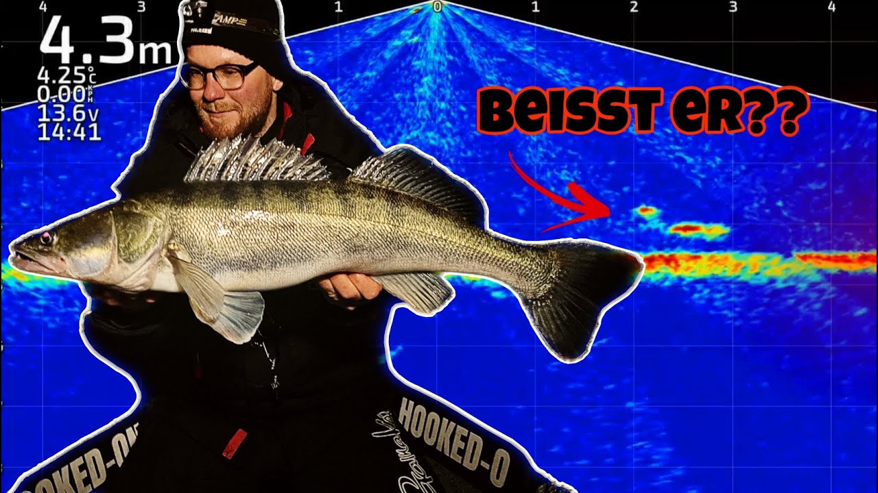 ZANDER angeln mit dem LIVESCOPE: Fluch oder Segen?