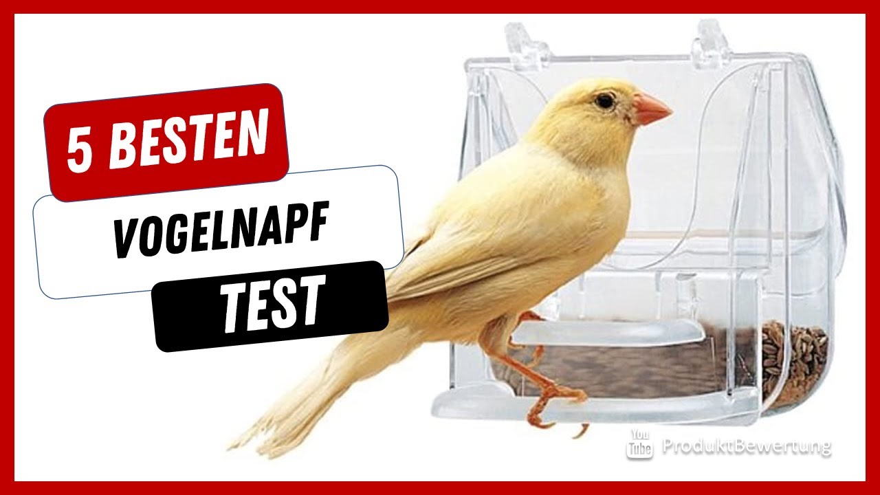 Die besten Vogelnapf Test (2022)
