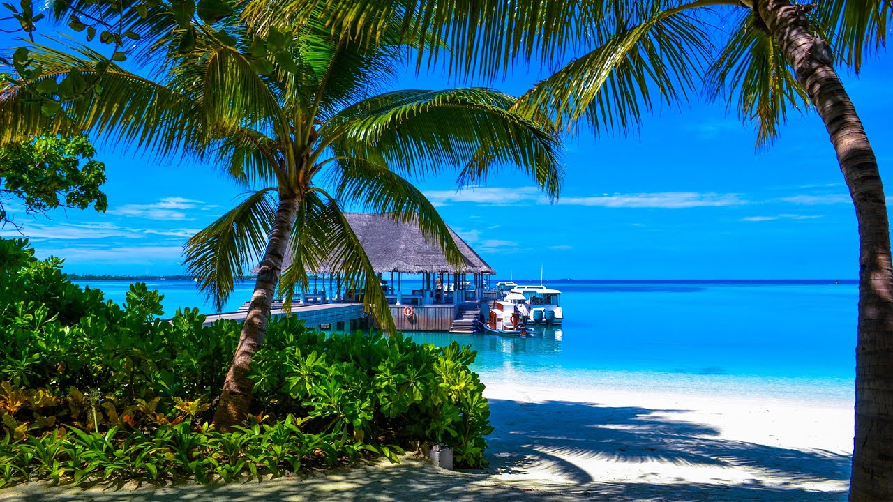 Tropical Island in Maldives and Positive Beach Bossa Nova Music 2025
