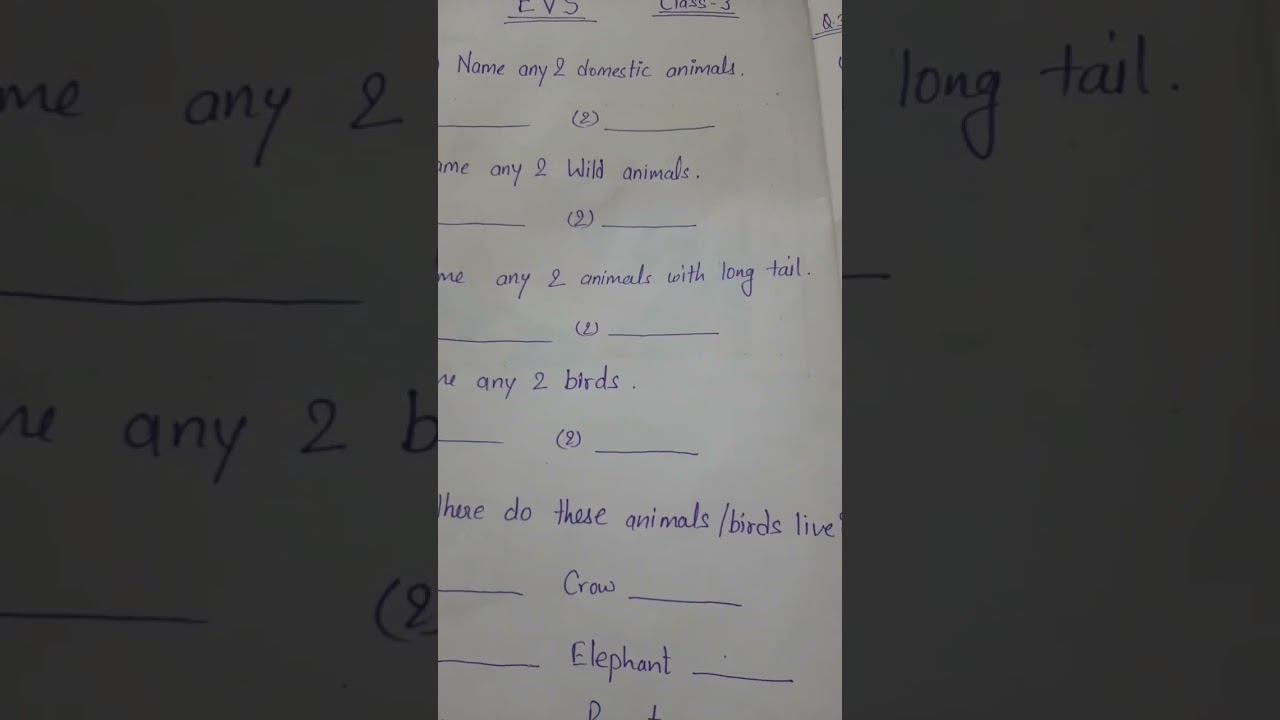 class 3 EVS half yearly exam paper#class3evs #kvs #exampreparation #questionpaper #shortvideo #short