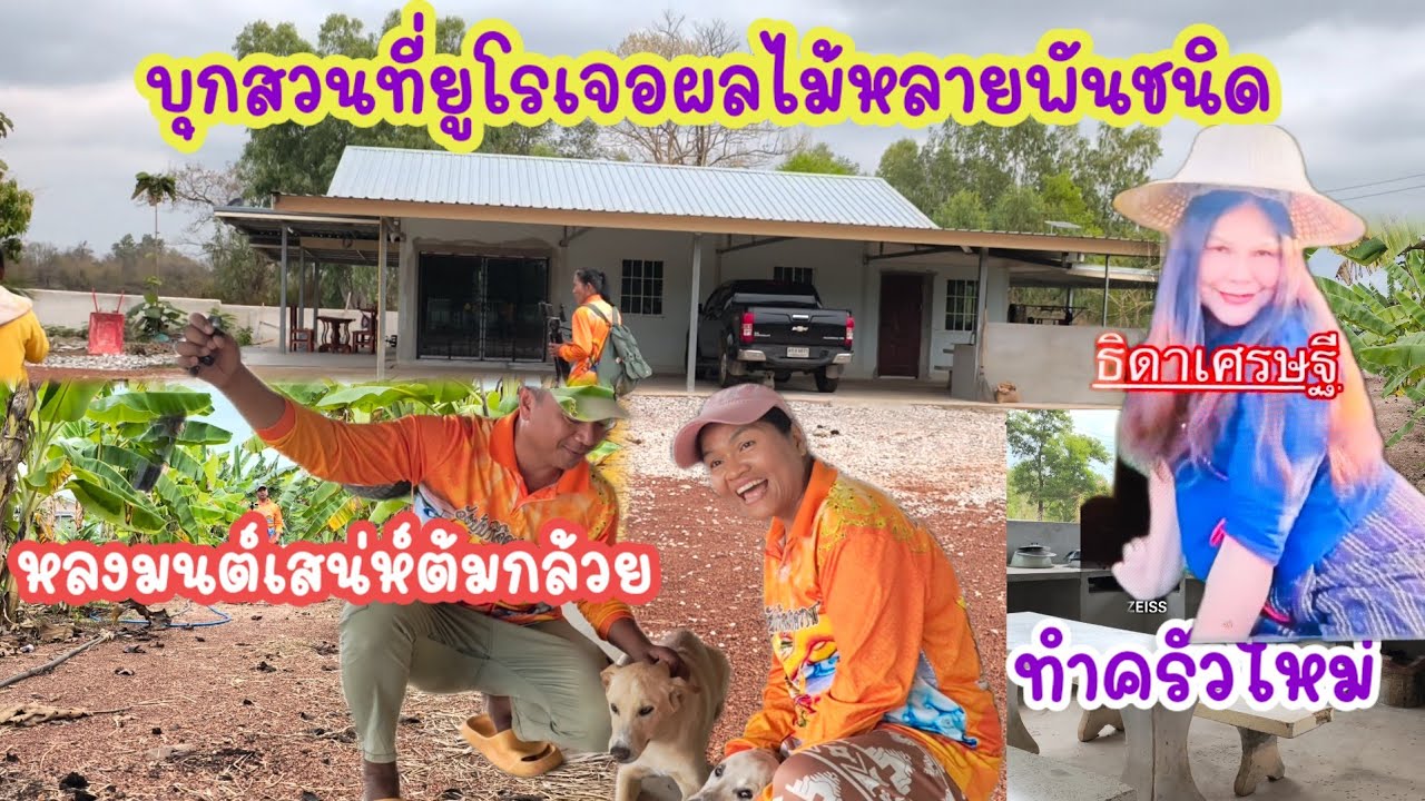 บุกบ้านสวนที่ยูโรต้นไม้หลายพันชนิด