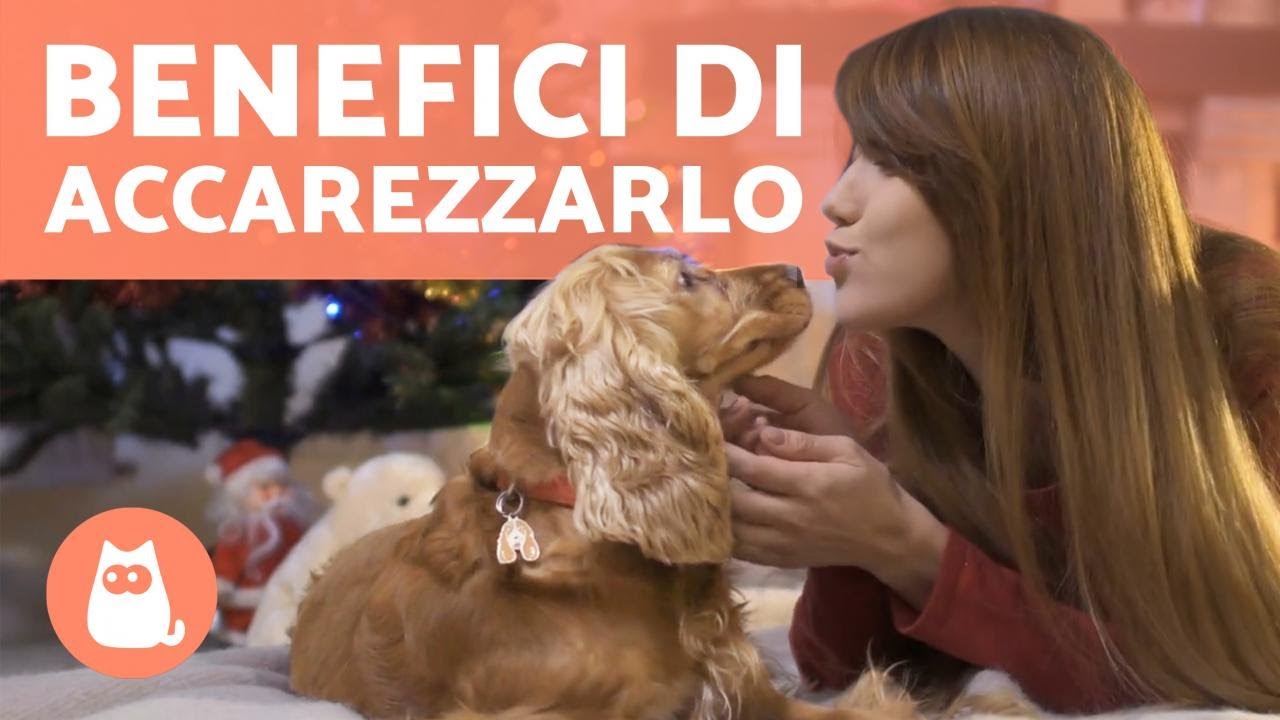 5 BENEFICI di ACCAREZZARE il tuo CANE 🐶