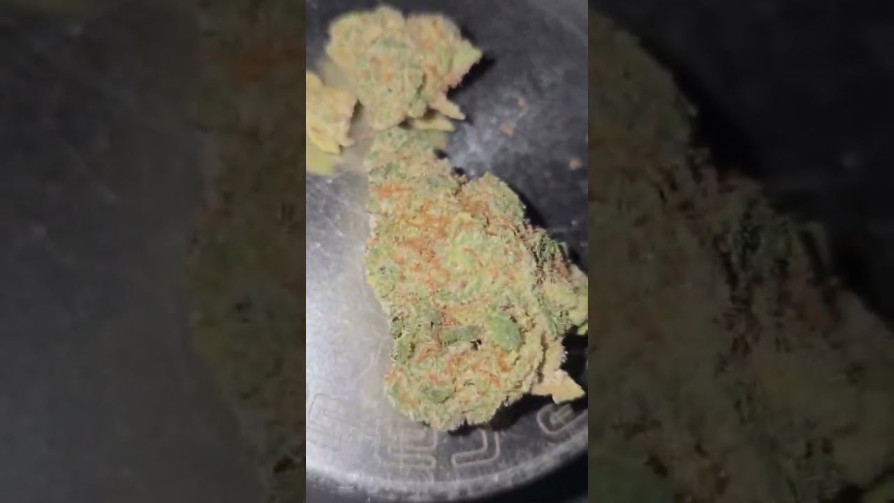 Kasa Verde SSG T25 - Singapore Sling - UK Medical Cannabis Flower Review