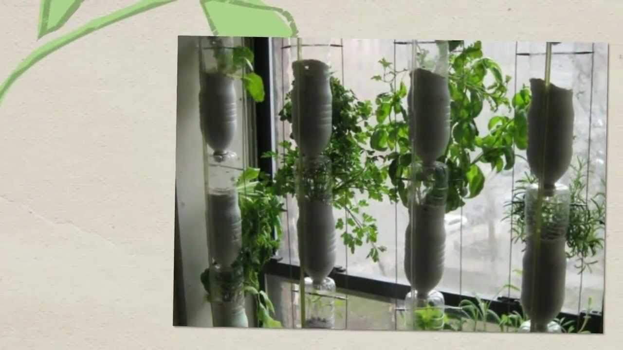 Hydroponics Is Superior | Hydroponics Halifax