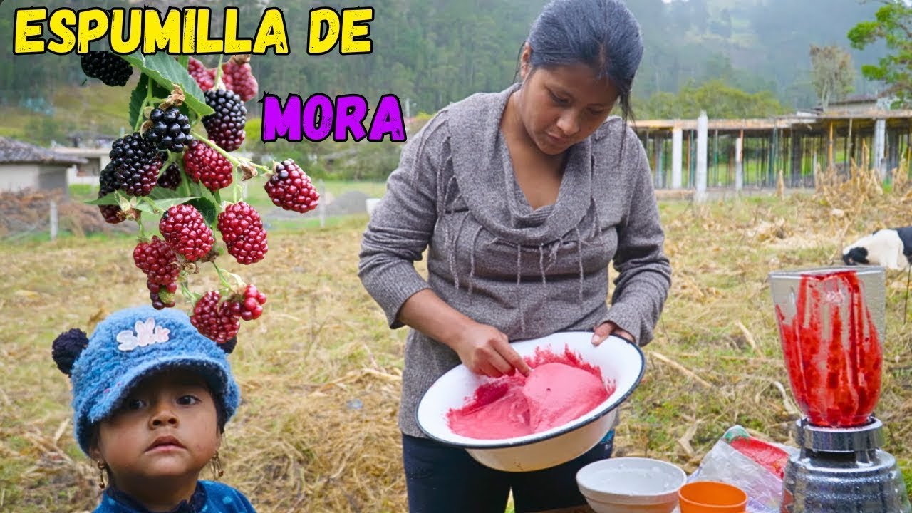 Así se prepara la rica ESPUMILLA de MORA - Dalyla