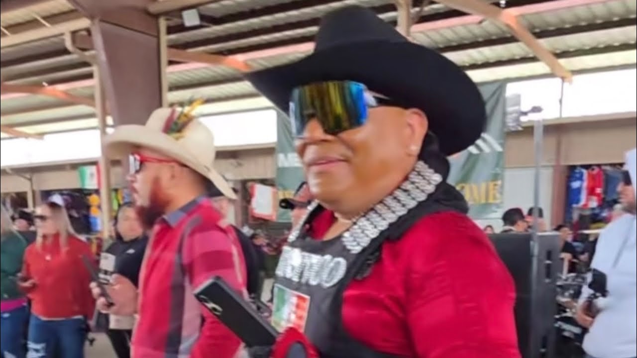 Bronco en la pulga de álamo Texas 