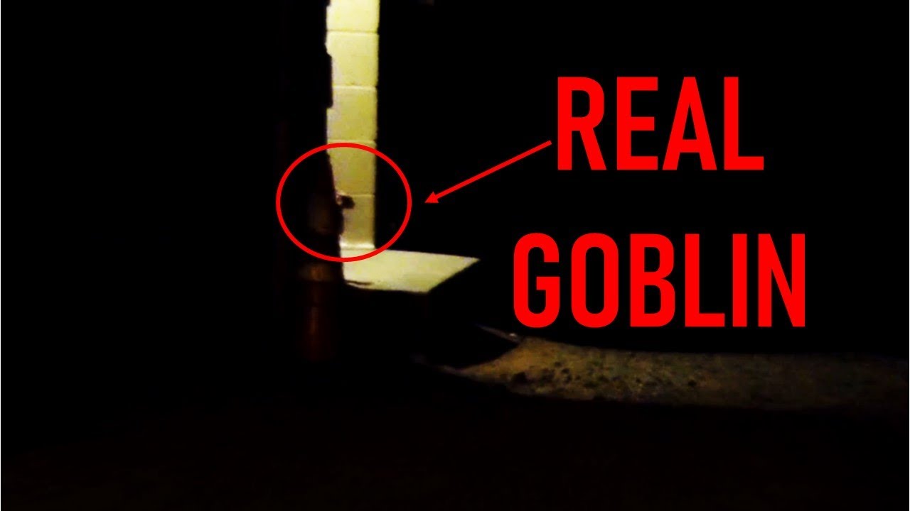 TOP 10 REAL GOBLINS CAUGHT ON CAMERA | GOBLIN SIGHTINGS TROLL FAIRY ELF MONKEY