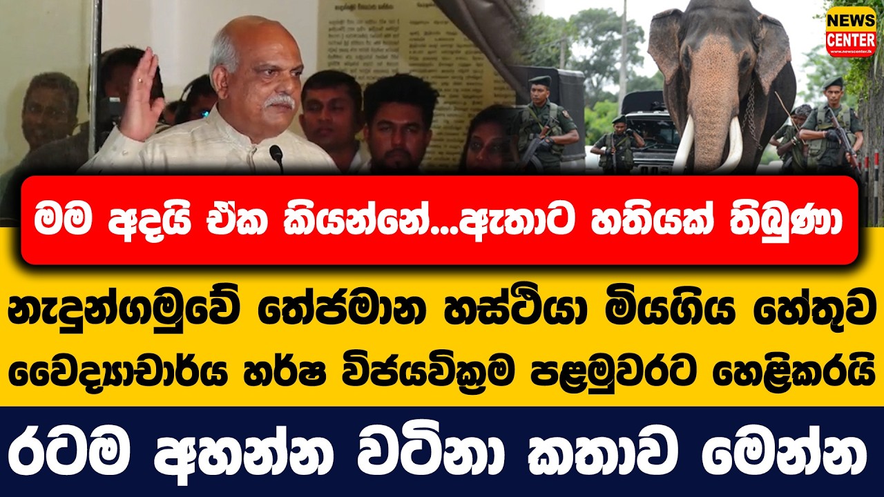 මම අදයි ඒක කියන්නේ...ඇතාට හතියක් තිබුණා | නැදුන්ගමුවේ තේජමාන හස්ථියා මියගිය හේතුව වෛද්‍යාචාර්ය හර්ෂ