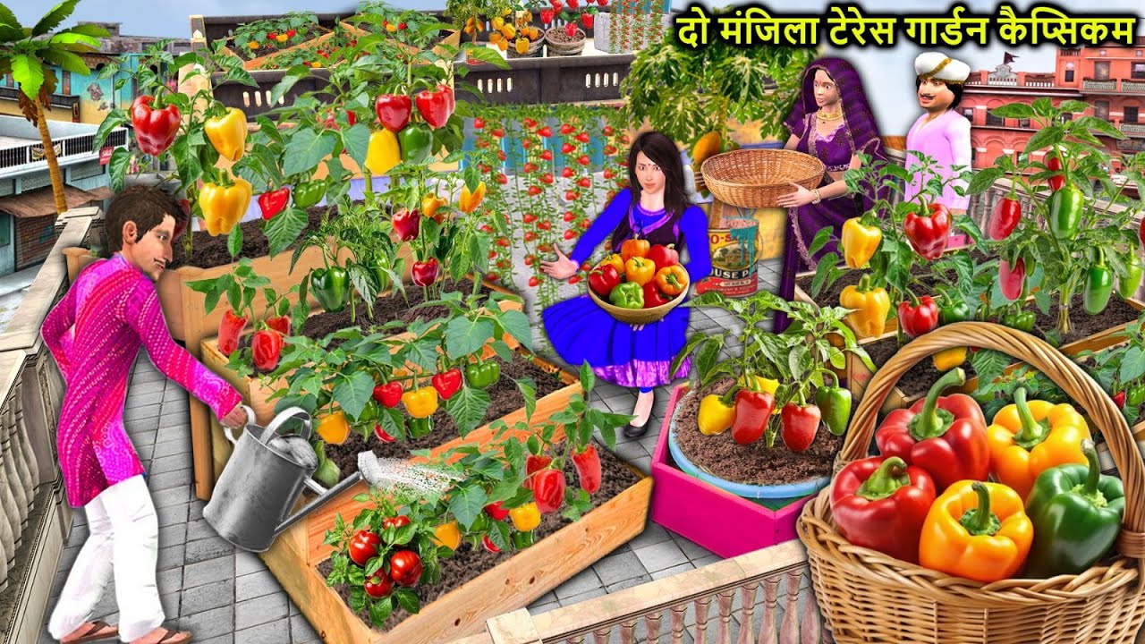 Two Story Terrace Garden Capsicum Farming Vegetables Grow Hindi Kahaniya Moral Stories Hindi Stories