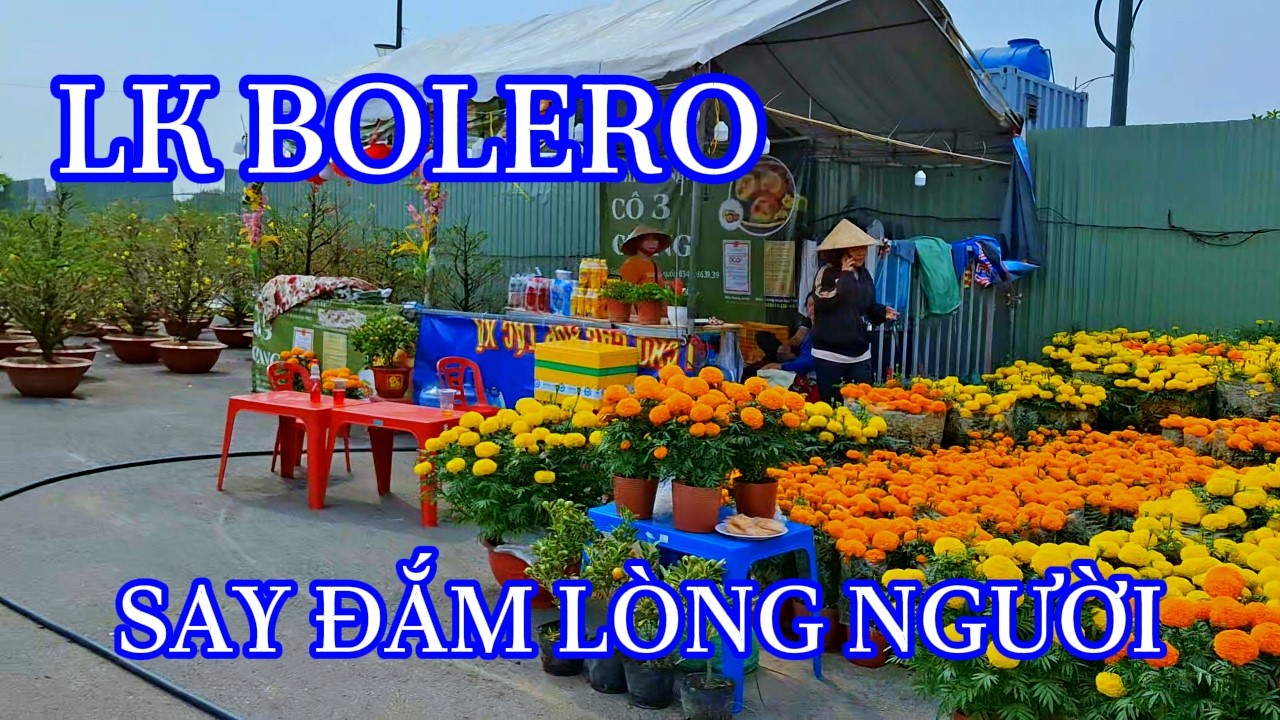 LK BOLERO NHẠC SỐNG TRỮ TÌNH - SAY ĐẮM LÒNG NGƯỜI