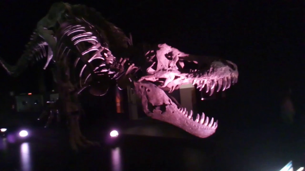 Museo de Dinopolis . Teruel