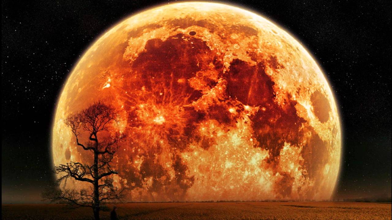Waiting for the Moon ♫ :: Excerpt Prem Rawat