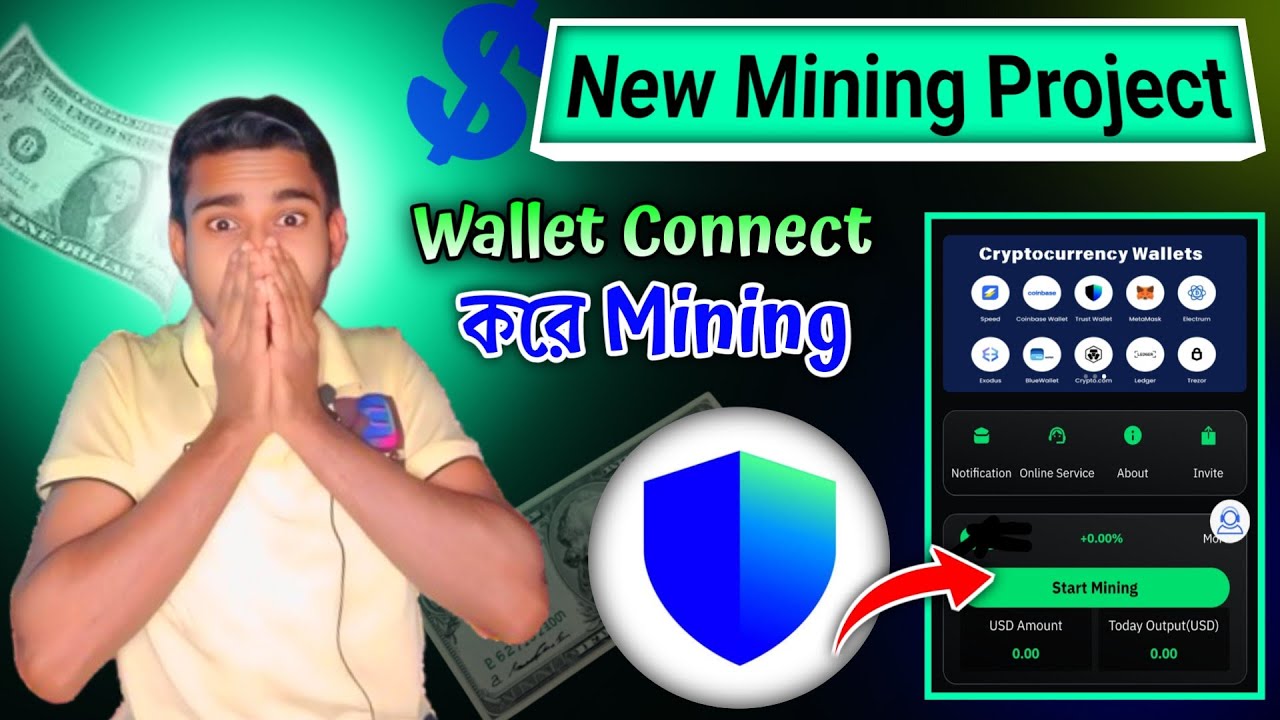 BNWeb3.net Review 👌Bnweb3 Automatic Mining Platform - Top USDT Staking Platform for Passive Income? 
