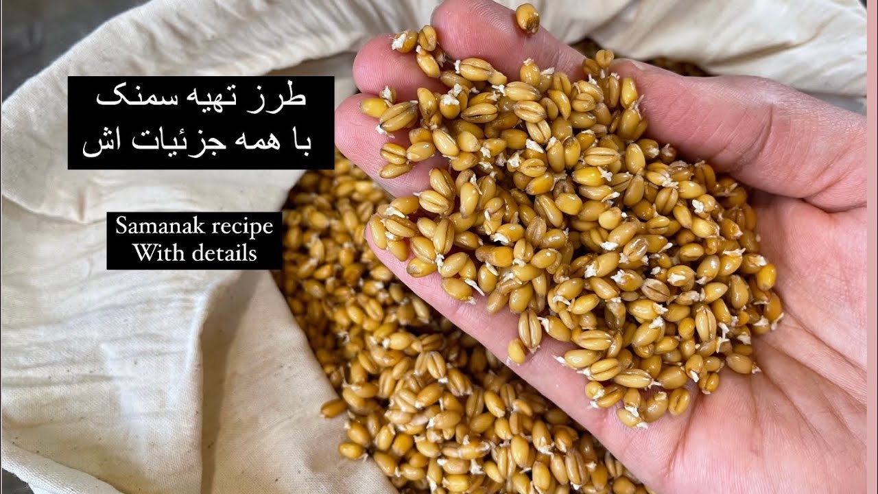 SAMANAK recipe سمنک SAMANO افغانی طرز تهیه سمنک SAMANAK AFGHANI سمنک افغانی  SUMALAK TAYYORLASH