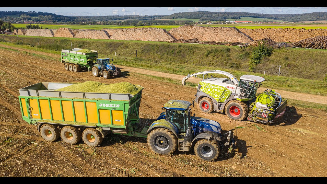 JAGUAR 970 🐆💨 CLAAS FRANCE 🇫🇷en démonstration dans l’Est 🌽 - PAGOT CAPUT