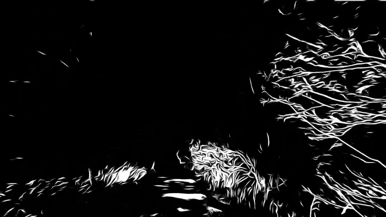 Laura Cannell - The Running Hound - from the EP A Compendium of Beasts Volume 4