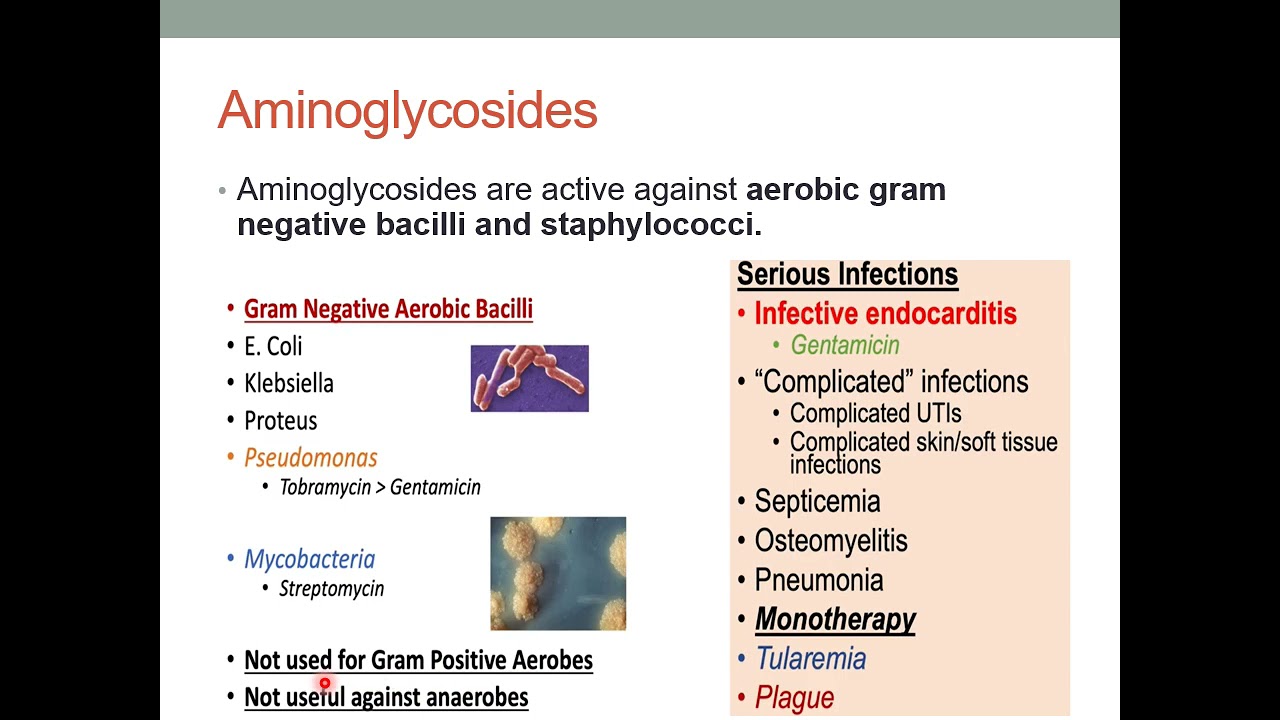 Medicinal Chemistry 2 - Aminoglycosides