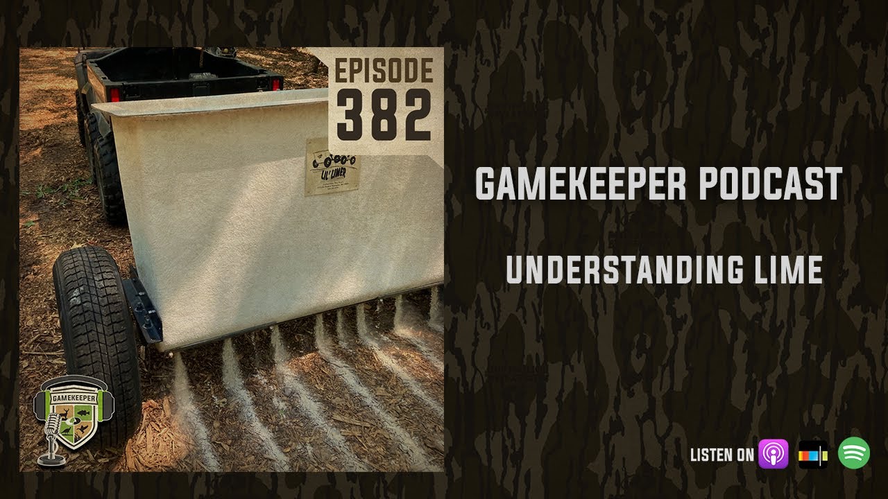 EP:382 | Understanding Lime