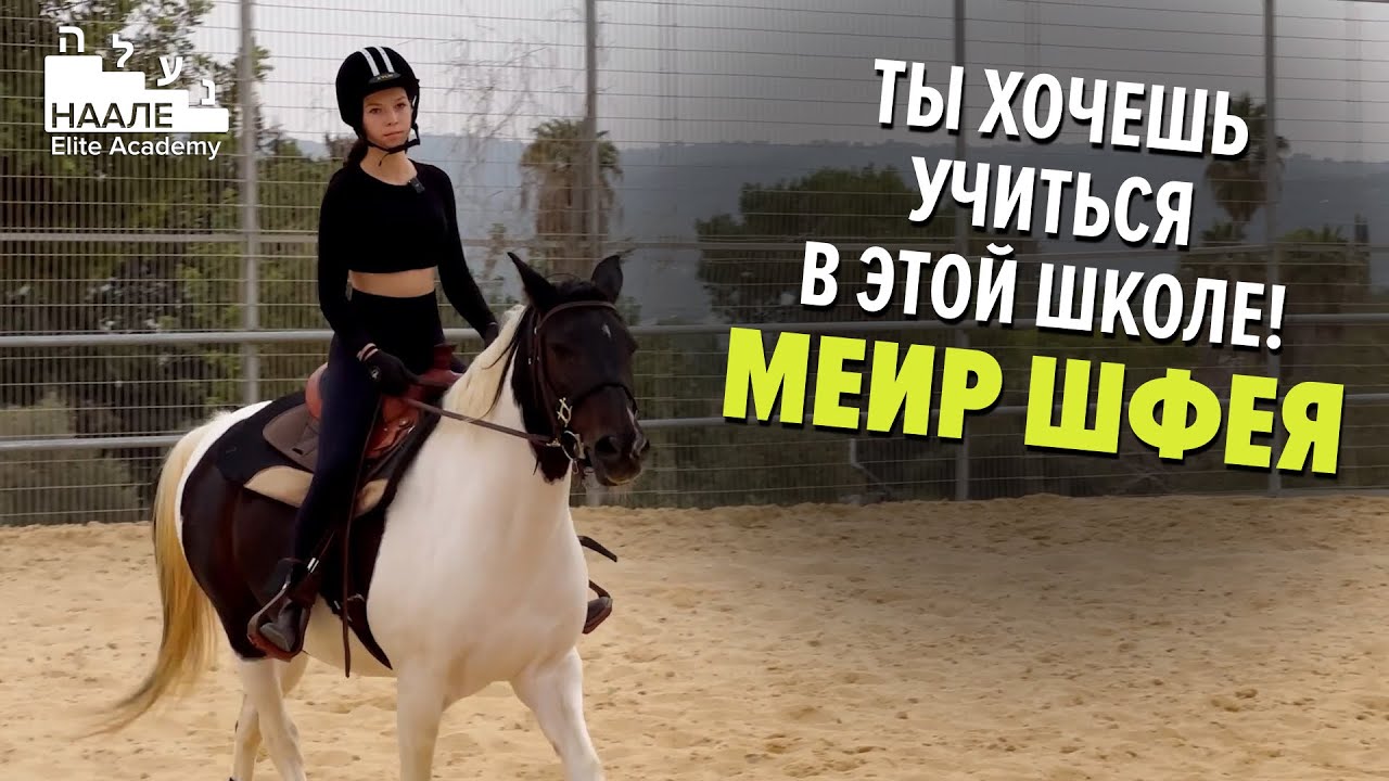 Учись в Израиле в школе Меир Шфея! #наале
