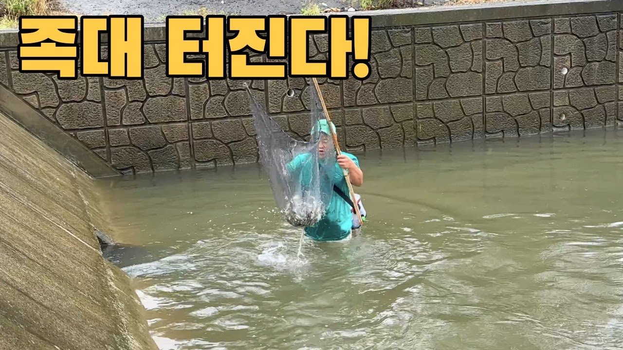 구멍에 족대를 넣으니 만선! 배고픈 쏘가리에게 줬더니 난리가 났네요ㄷㄷ