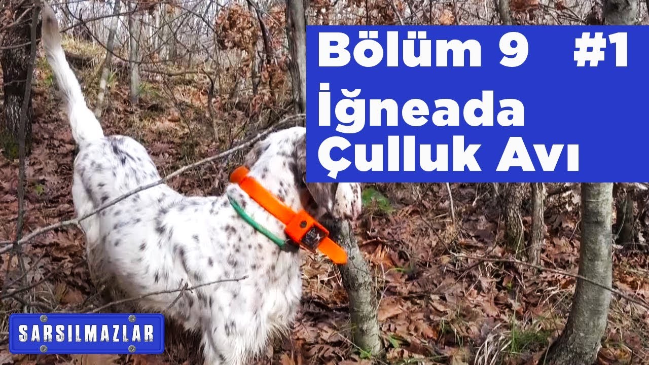 Çulluk Avı İğneada - Sarsılmazlar 4. Sezon 9. Bölüm - 1 - Yaban TV woodcock