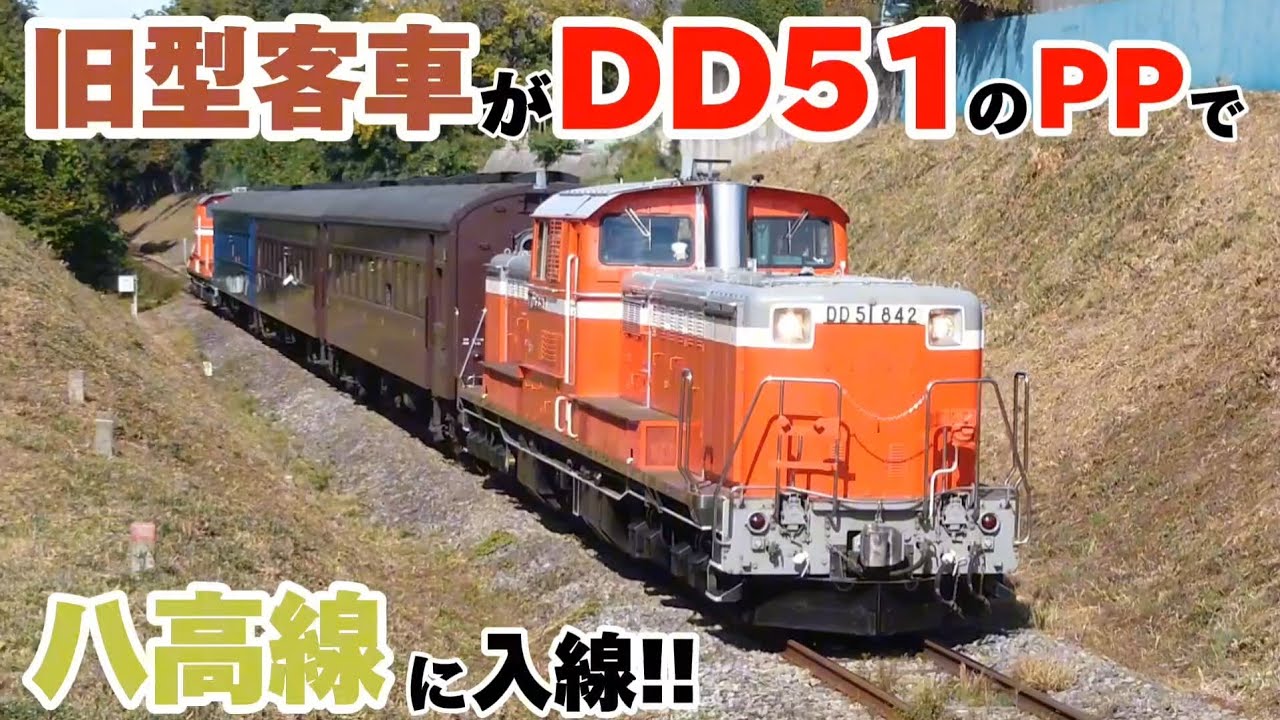 【DLレトロ八高号】DD51と旧型客車が団臨で八高線に入線！