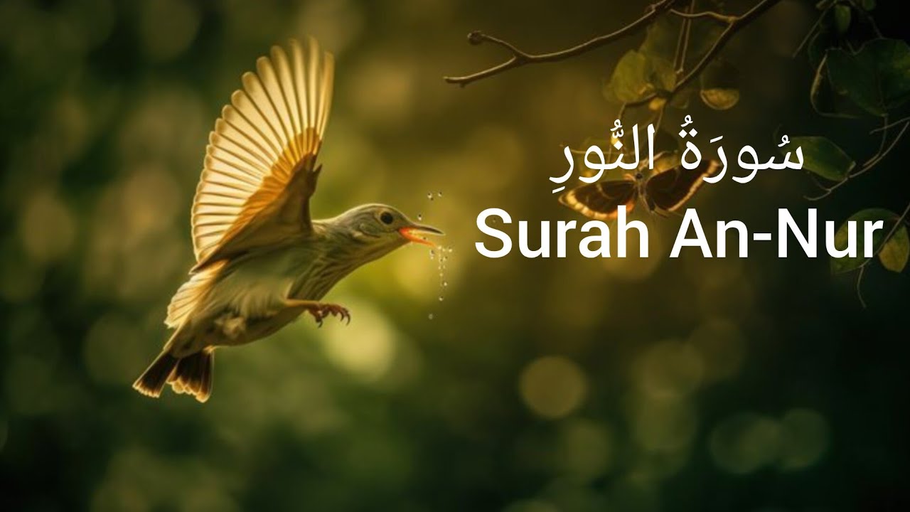 سورة النور | آيات تهز القلوب وتكشف الحقائق المخفية 😳 نور من الله