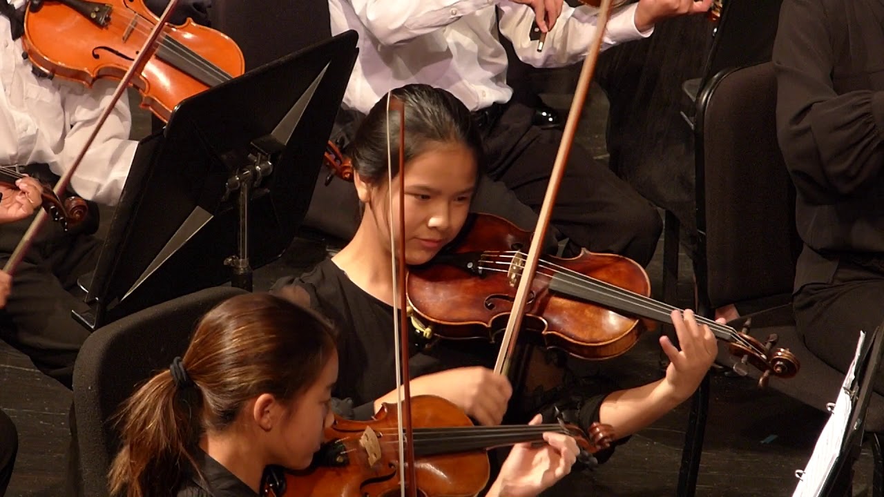 Mozart Symphony no. 25 mvt 1