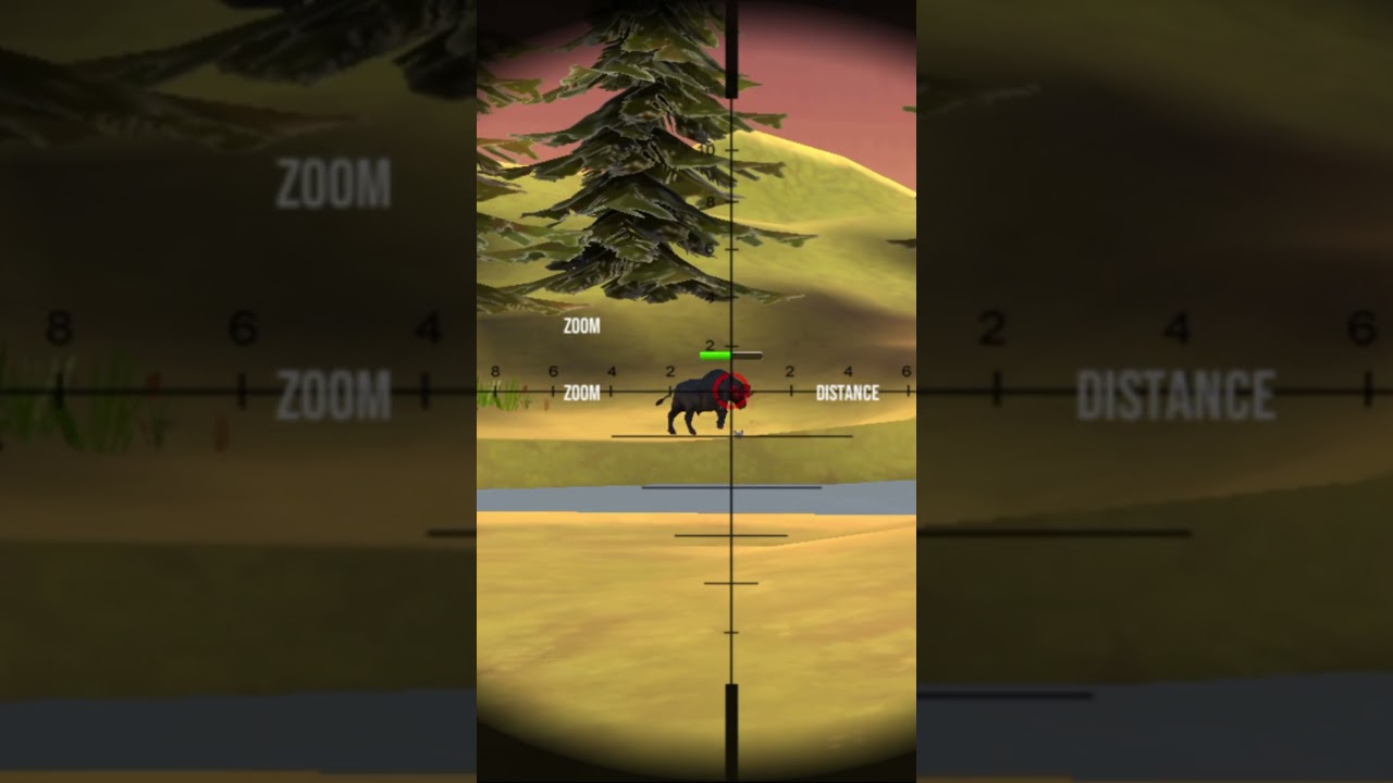 Frontier shorts Animal Hunting #video Safaris Feral #Game