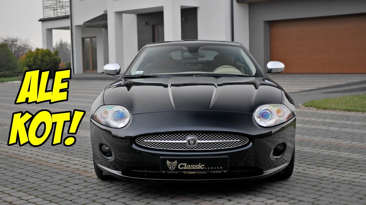 Pokaż kotku co masz w środku: Jaguar XK 4.2 V8