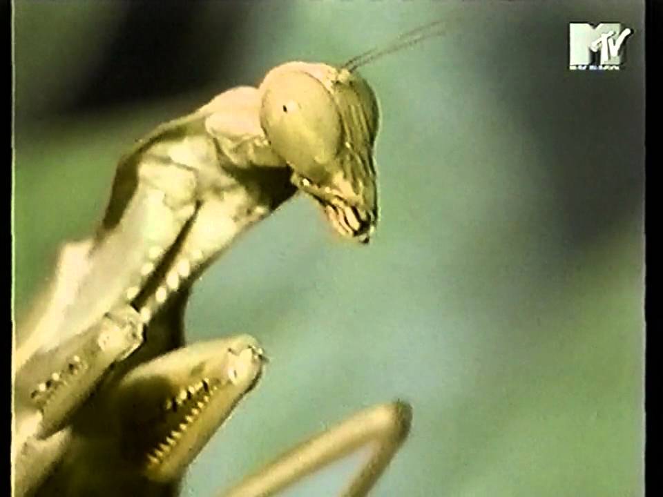 Fila shoes Commercial 1995