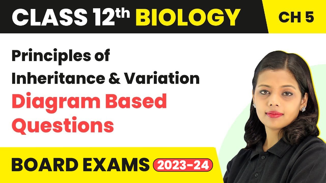 Principles of Inheritance and Variation - Diagram Based Questions | Class 12 Biology Chapter 4