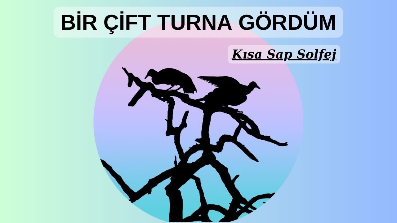 Bağlama Dersi 112 Alaaddin Yiğit ile ( Kısa Sap 