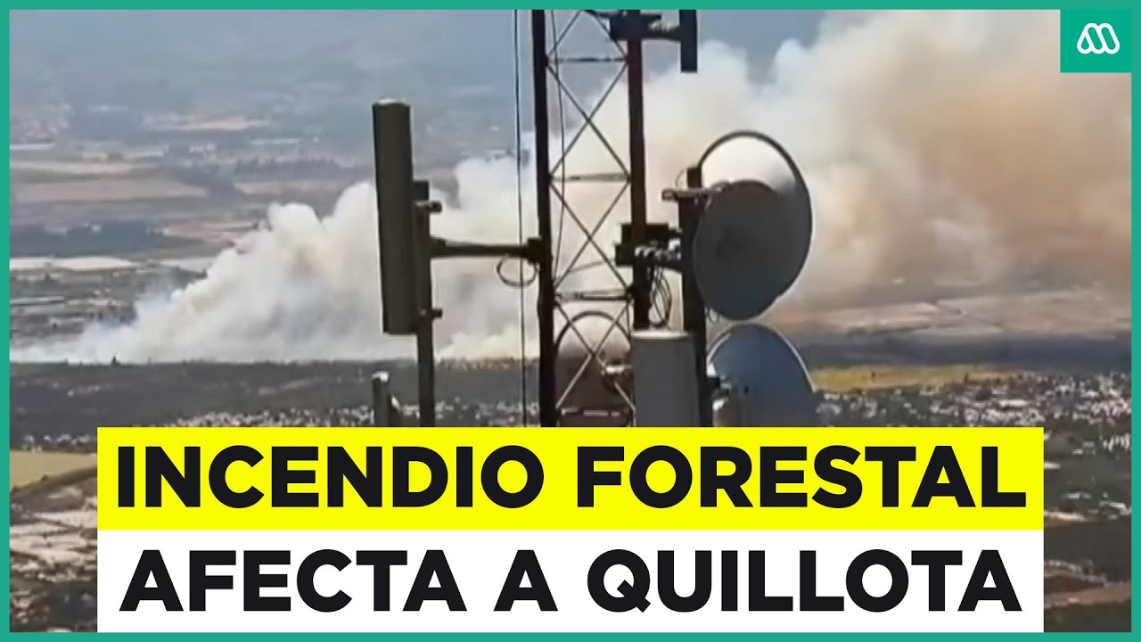 Incendio forestal en Quillota: Senapred pide evacuar el sector a causa del fuego