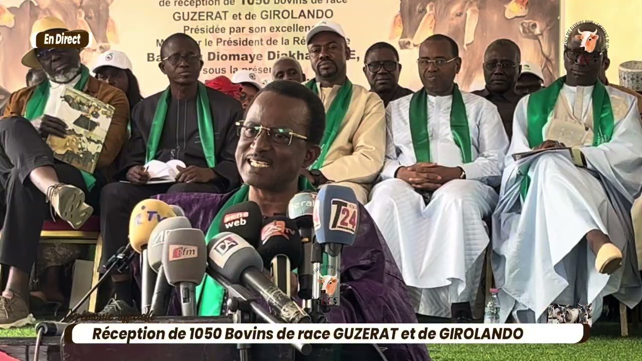 Réception de 1050 Bovins :