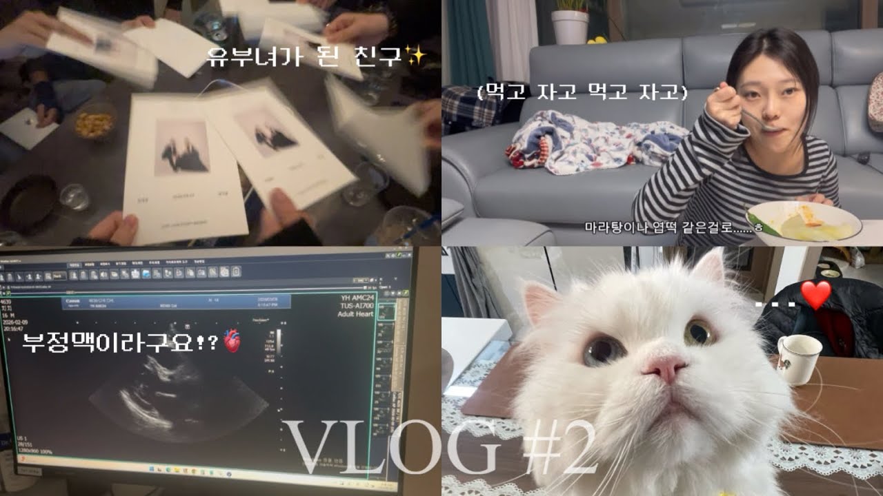 먹는 브이로그 | 미역국 끓이기 | 청첩장 모임💌 | 고양이 동물병원 가기 | 벌써 올림픽할 때라니 | 오크베리 커스텀 | 방탈출 탈출 실패!? 🔐
