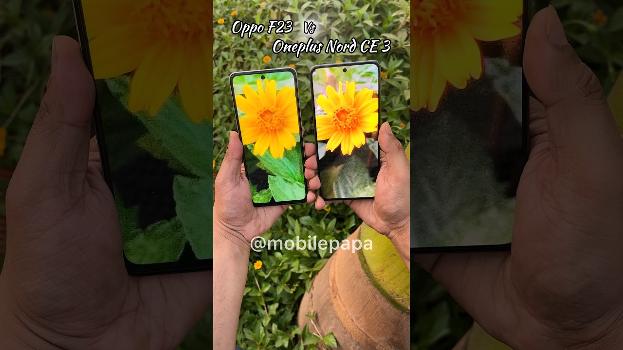Zooming Test Oppo F23 vs OnePlus Nord CE 3 🤜🎥🤛 #shorts #oppof235g #oneplusnordce3