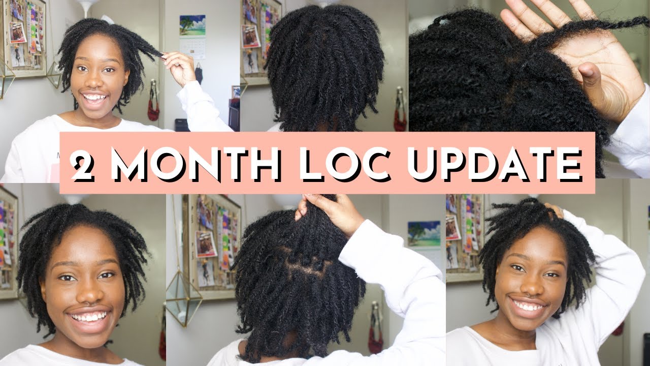 2 Month Loc Update | Loc Budding, Frizz, Shrinkage, & the UGLY STAGE