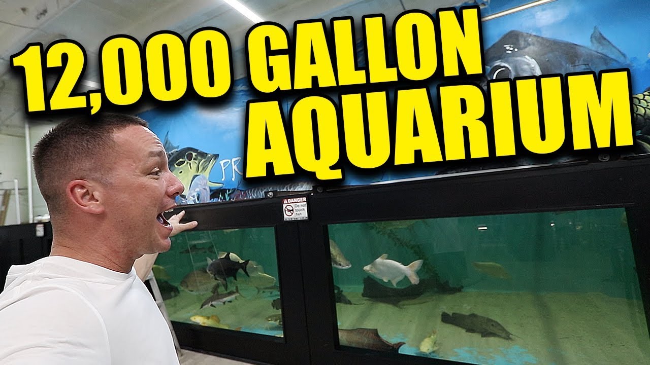 12,000 GALLON MONSTER AQUARIUM TOUR