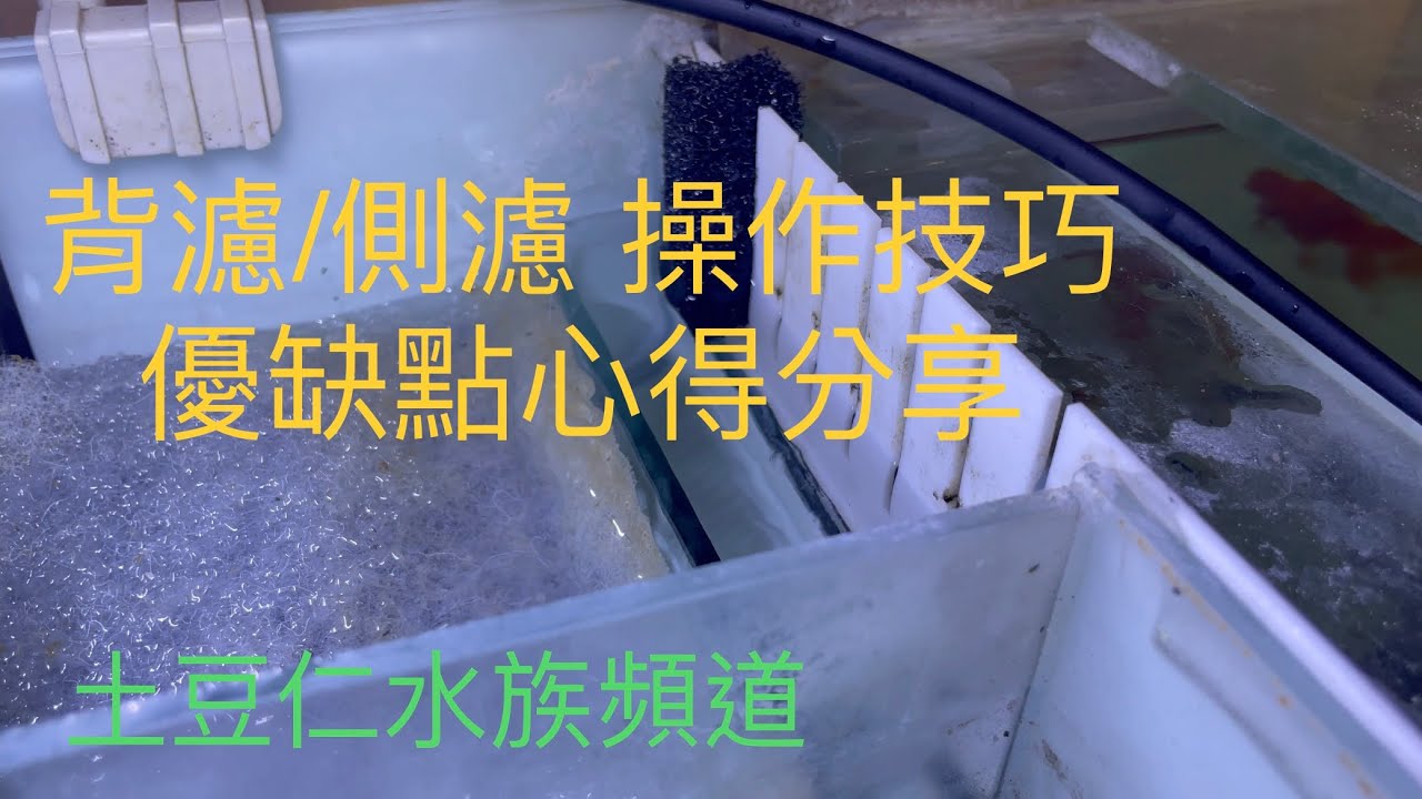 背濾/側濾/背部過濾 分享介紹 濾材放置、各種小技巧介紹 土豆仁水族頻道
