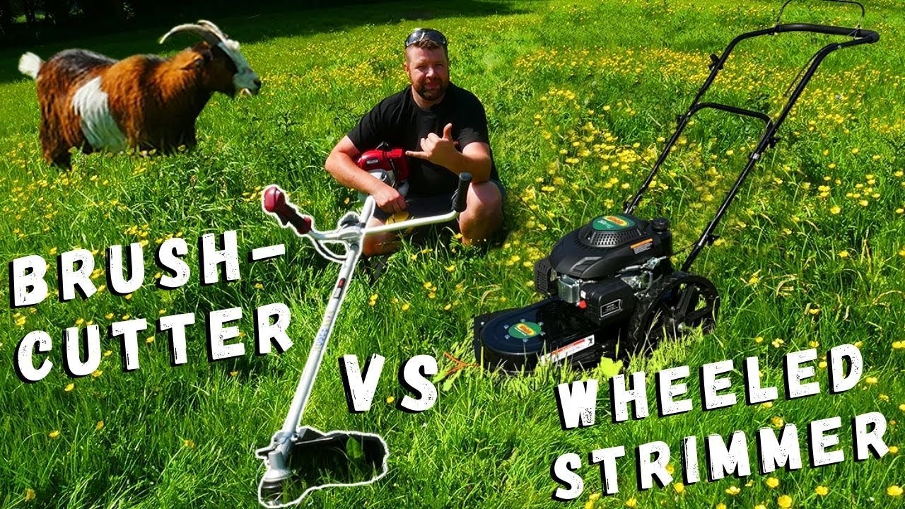 Which Is Better? Brushcutters vs Wheeled Strimmers!