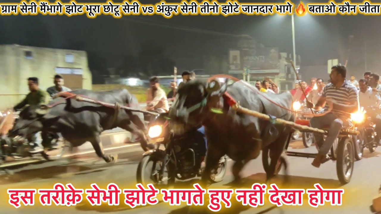ग्राम सेनी मैंभागे झोट भूरा छोटू सेनी vs अंकुर सेनी तीनो झोटे जानदार भागे 🔥 बताओ कौन जीता
