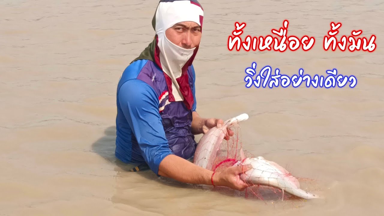 หว่านแหน้ำตื้น ทั้งเหนื่อยทั้งมัน หนองบ่อมน บ้านกุดค้า อ.ทุ่งฝน จ.อุดร / ตุ้มแพรว พาเพลิน EP.773