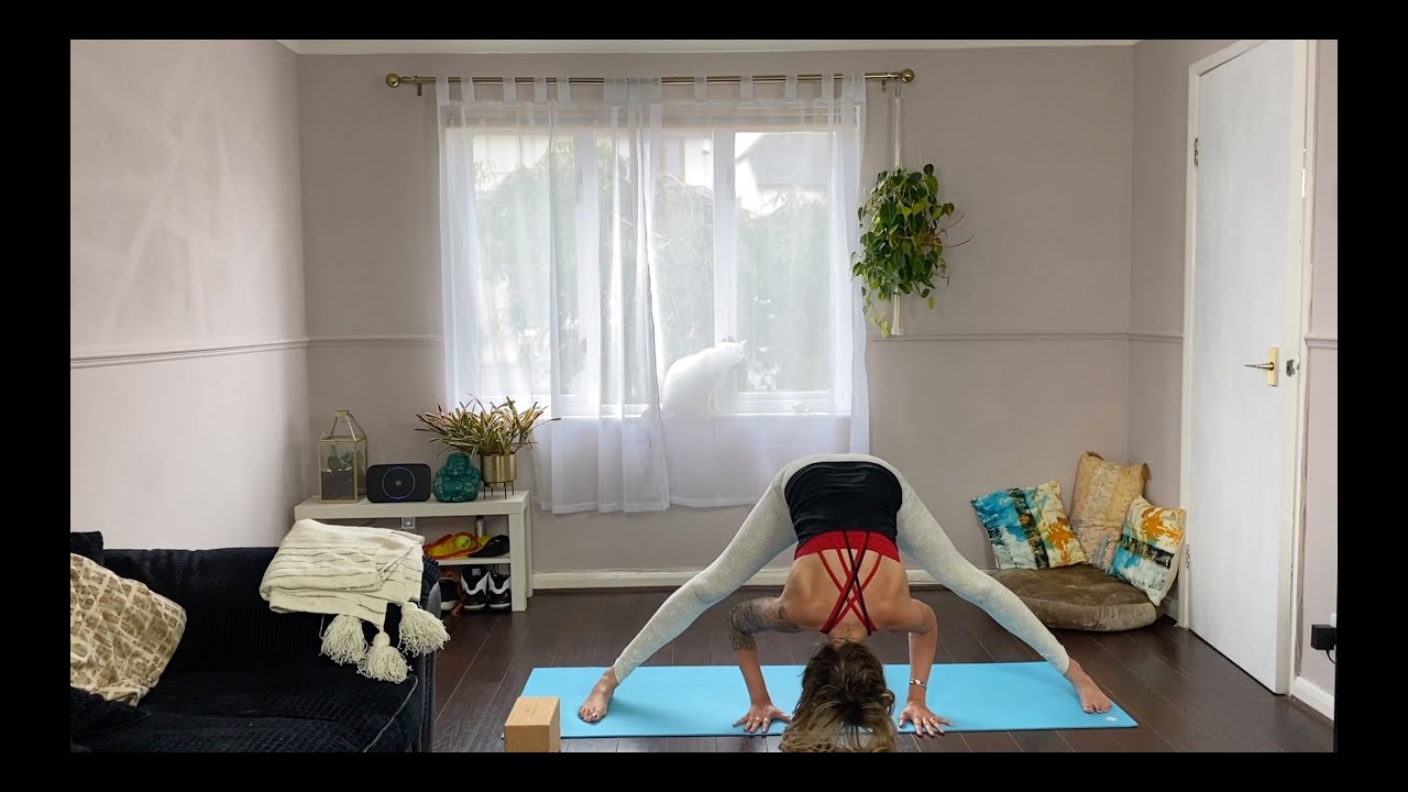 Stretchy Yoga Flow | Good Vibes All Levels Vinyasa Class | The Yoga Transformative