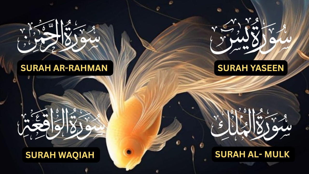Surah Yaseen♥️, Surah Rahman♥️, Surah Waqiah♥️, Surah Al Mulk♥️| Beautiful  Peacefull Recitation ❤️