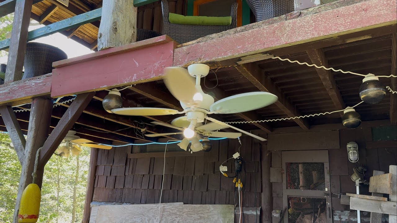 Ceiling Fan Destruction #100